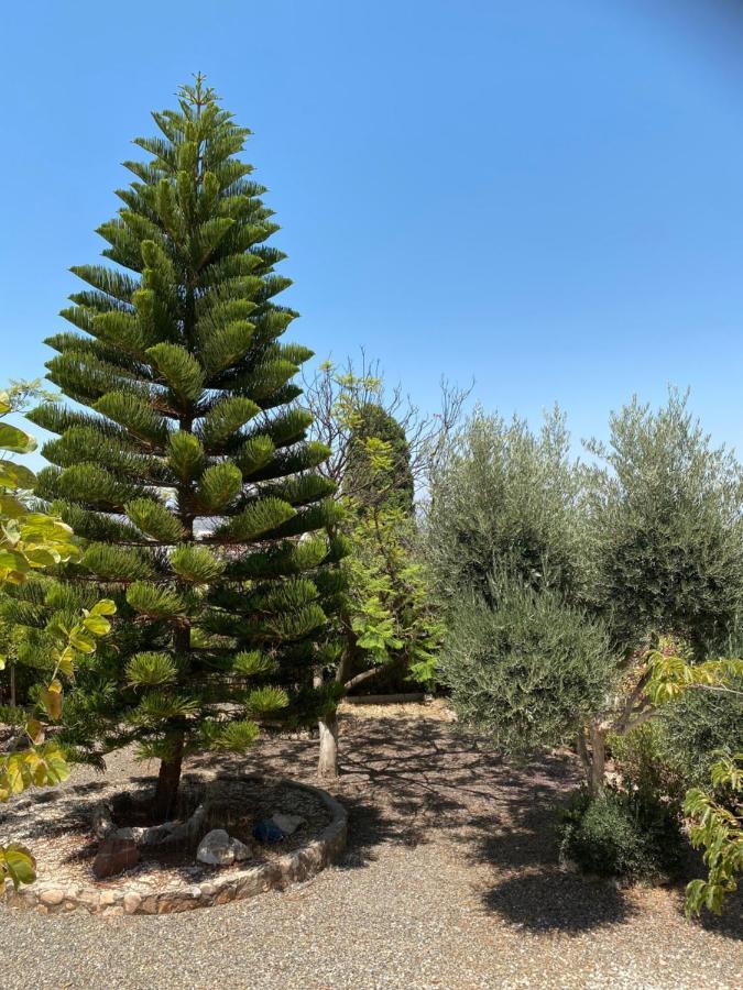 B&B Casa Oceo - Malaga - Andalusie Alhaurín de la Torre Kültér fotó