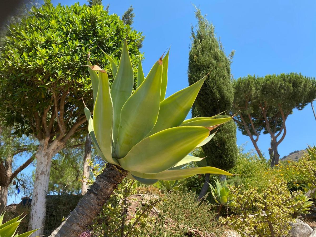 B&B Casa Oceo - Malaga - Andalusie Alhaurín de la Torre Kültér fotó